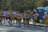 Click for larger image.