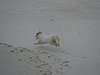 DSC01899.JPG