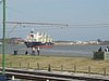 DSC01859.JPG